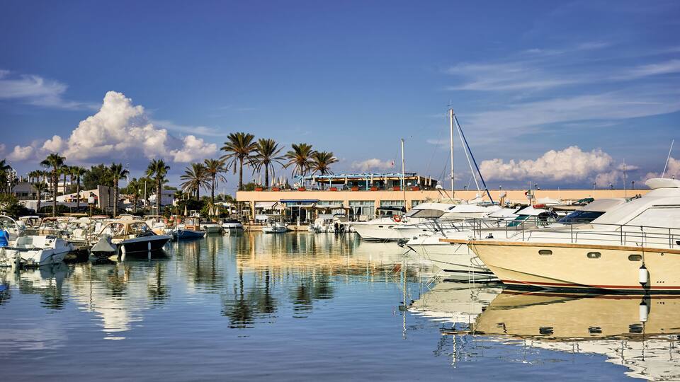 A marina with several yachts docked, palm trees, and a building in the background.