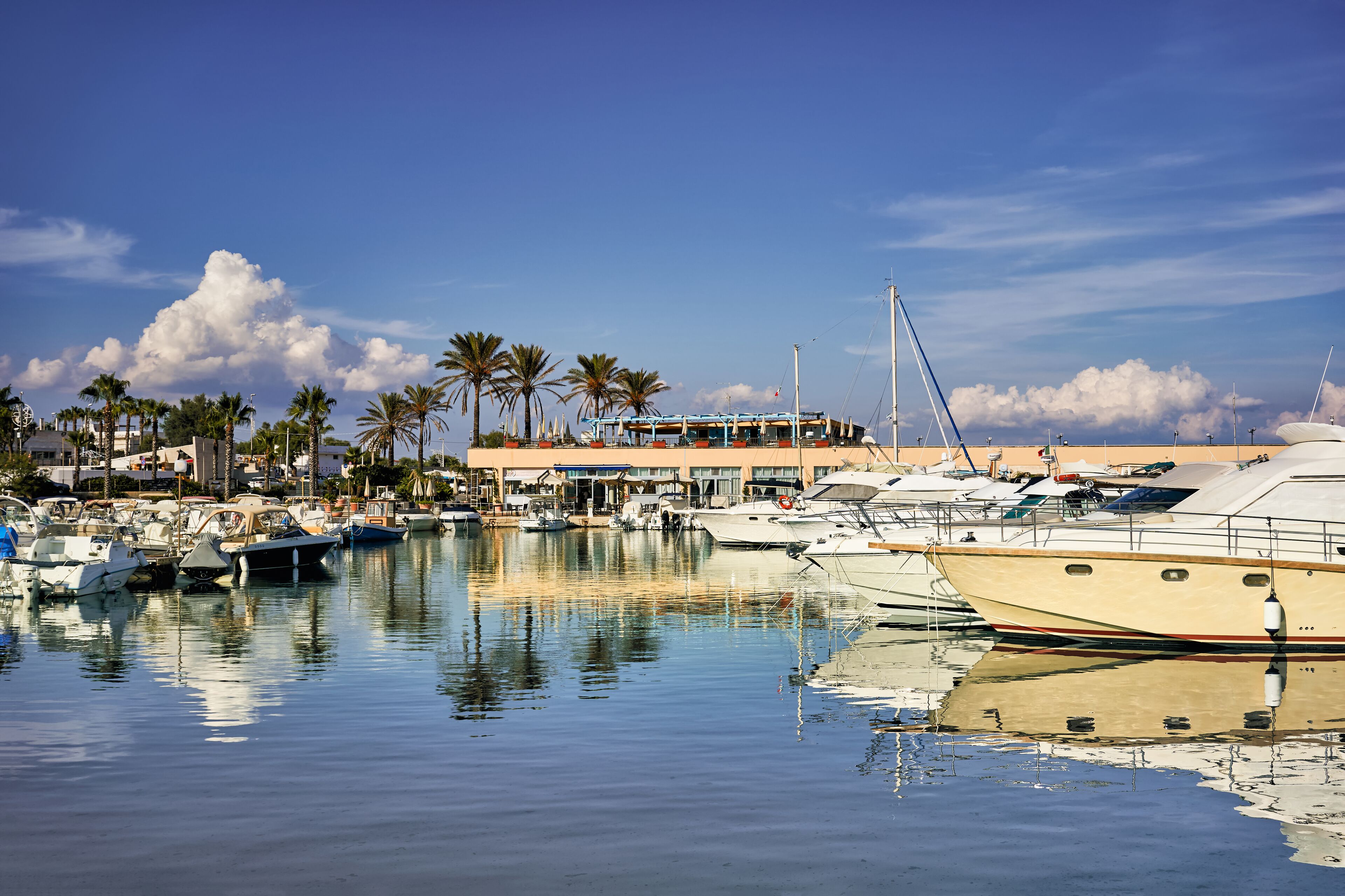 A marina with several yachts docked, palm trees, and a building in the background.