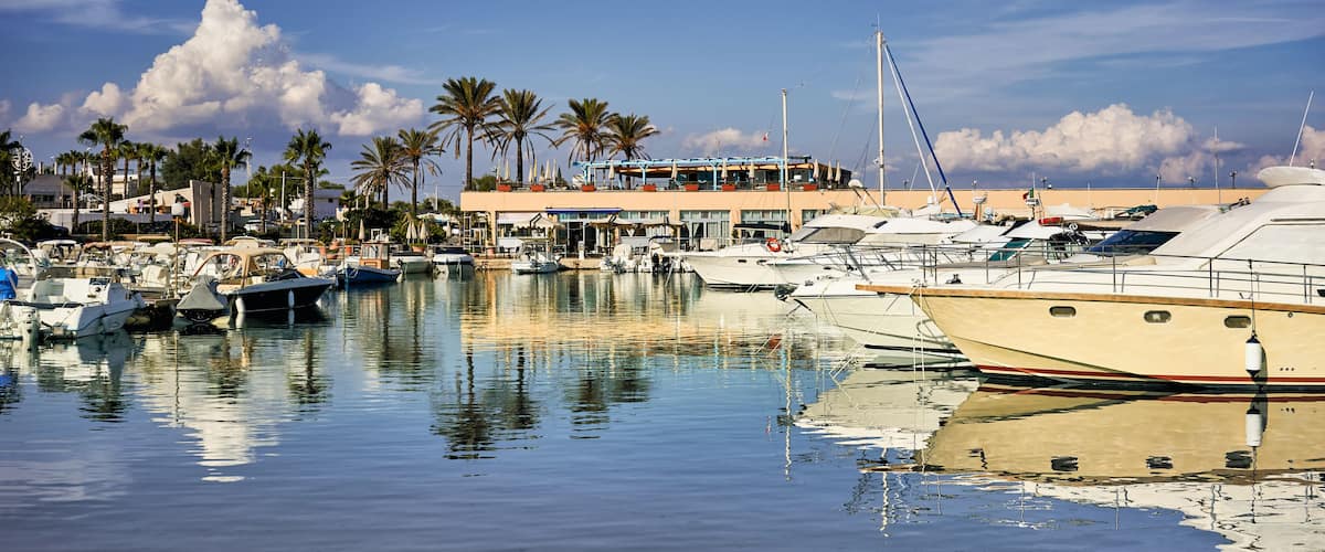 A marina with several yachts docked, palm trees, and a building in the background.