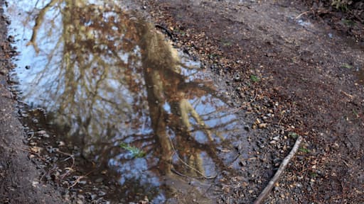 Reflection in the water on the way to the river