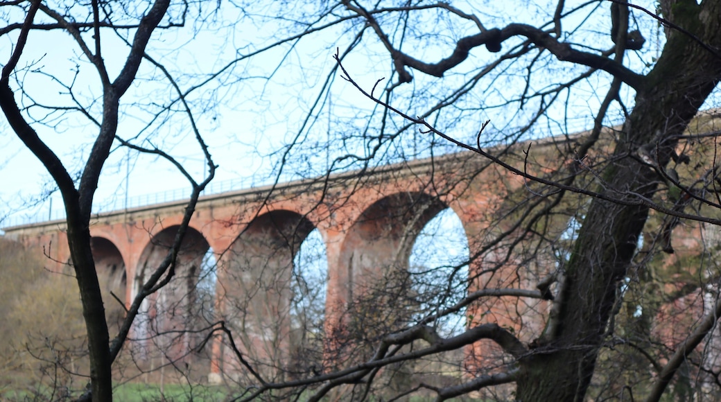 Croxdale viaduct crossing the river
