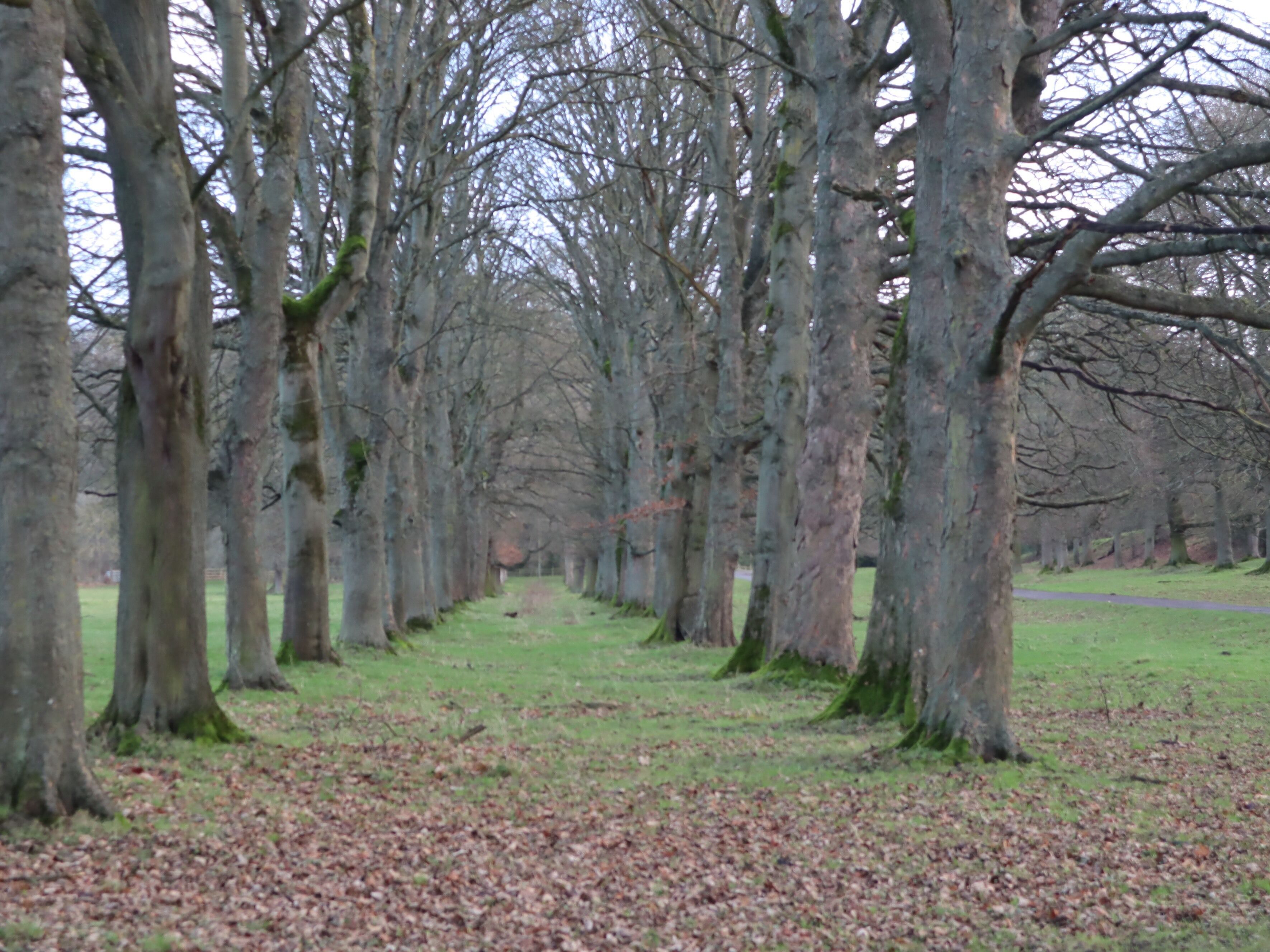 Lovely walks around the river