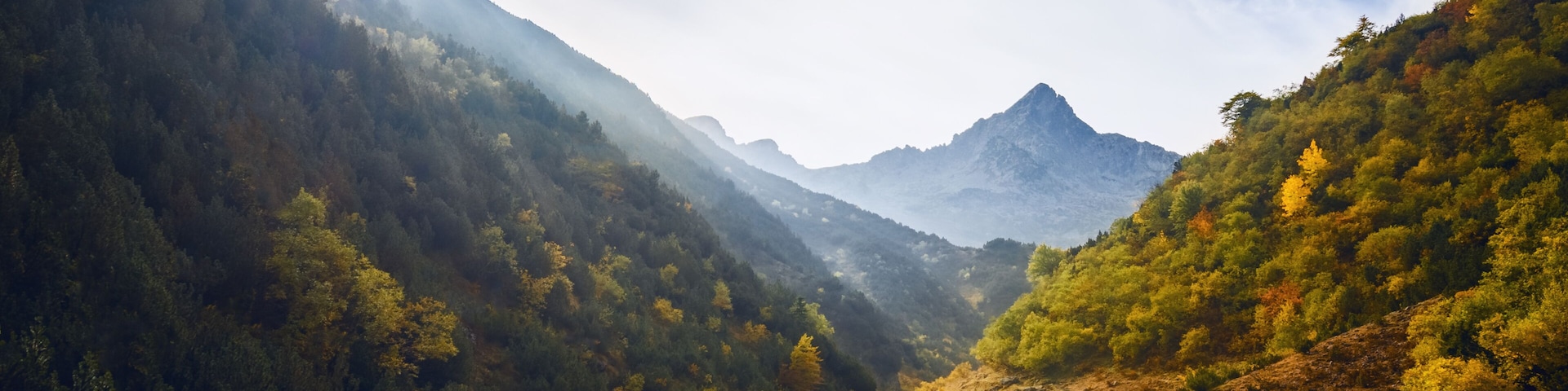 Morning light between trees and mountains, on the path to the lake of Frisson, in Maritime Alps Park, Piedmont Italy