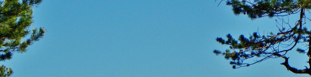 il "Gruppo del Catinaccio" visto dalla Torbiera Woelfl (BZ)