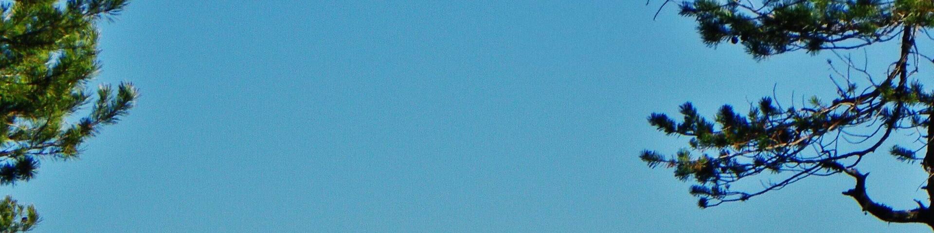 il "Gruppo del Catinaccio" visto dalla Torbiera Woelfl (BZ)