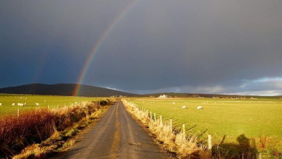A rural road flanked by fields and a rainbow in the sky.