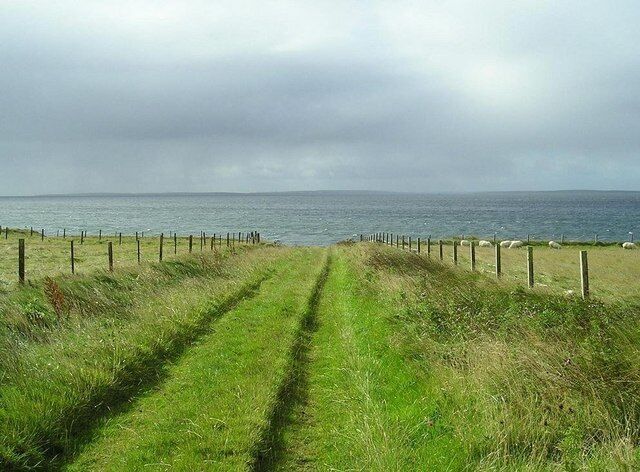 A grassy path leading to the sea, bordered by a fence.