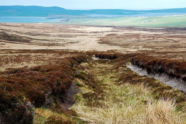 The Dale Looking along the Burn of Jockasey.