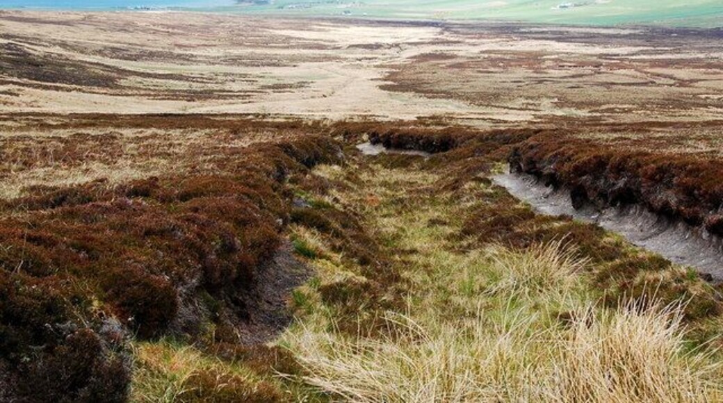 The Dale Looking along the Burn of Jockasey.