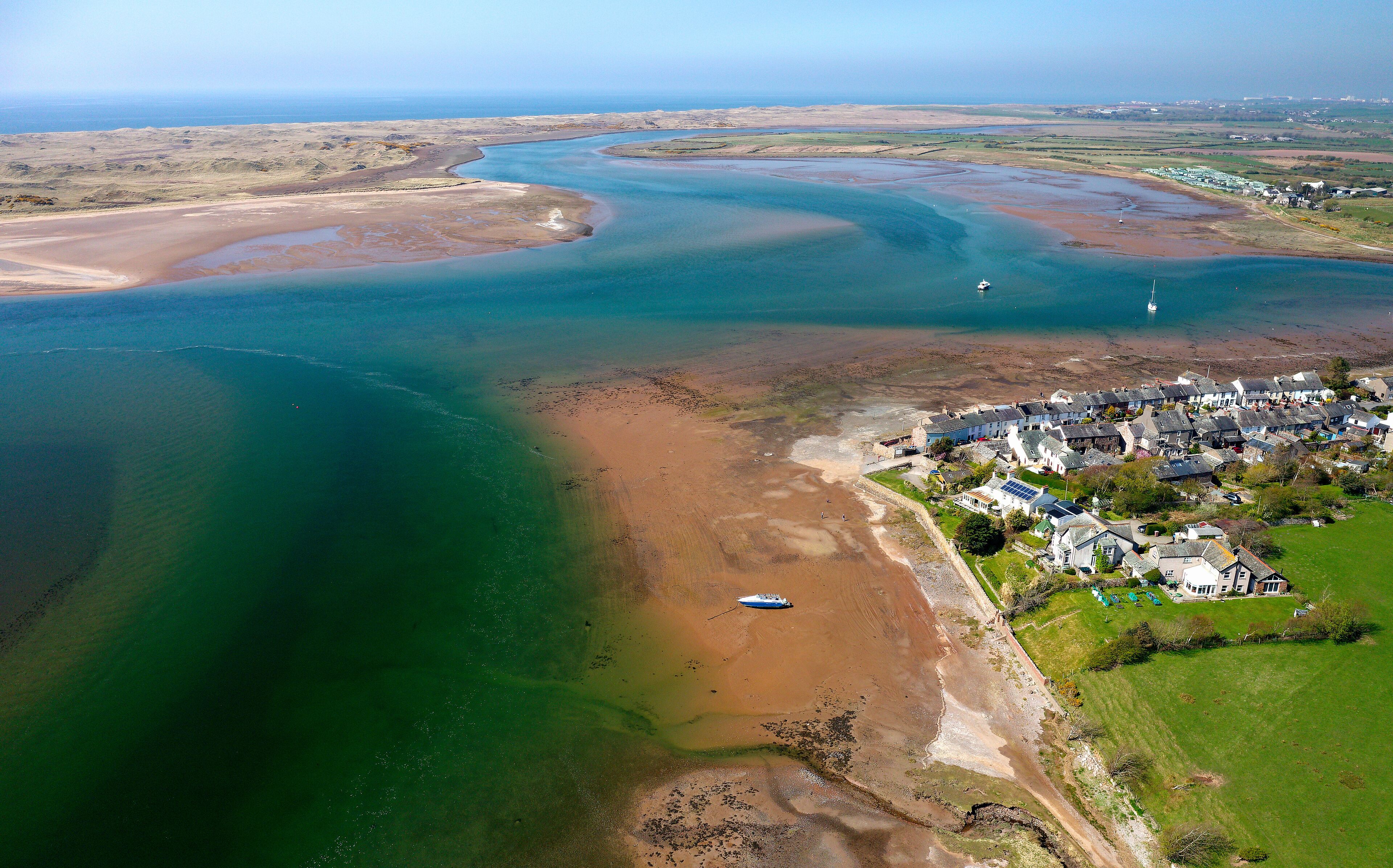 レイヴングラス