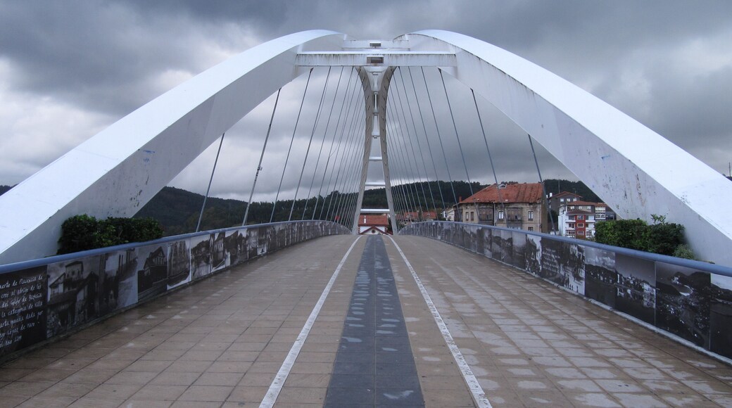 Puente de Calatrava, Plentzia 1