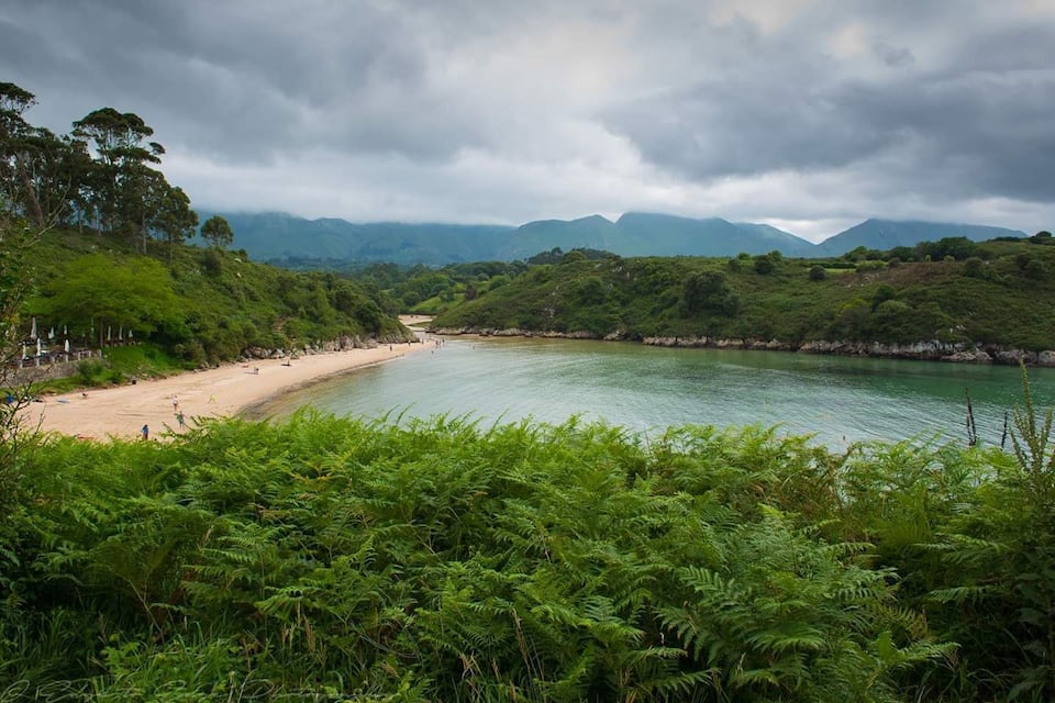 Una playa con un área boscosa y montañas al fondo.
