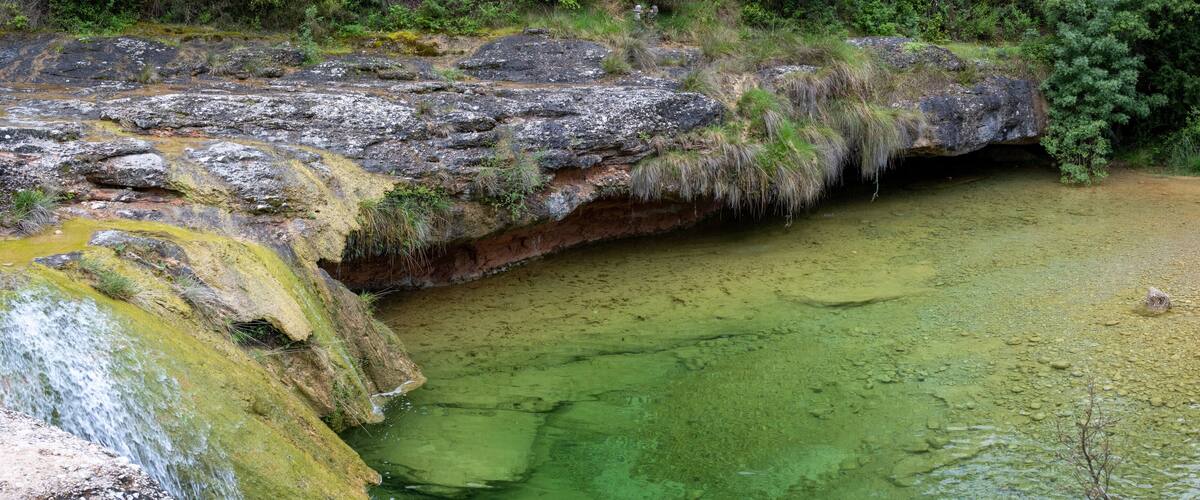 A waterfall flowing over rocks into a green pool surrounded by dense greenery.