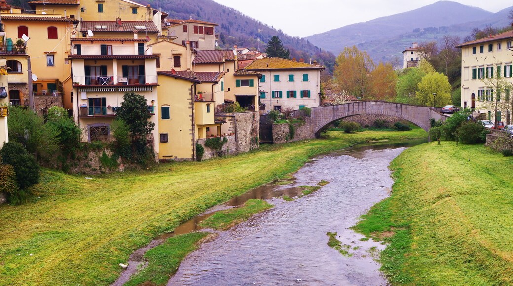 The torrent Comano in the village of Dicomano, Tuscany, Italy