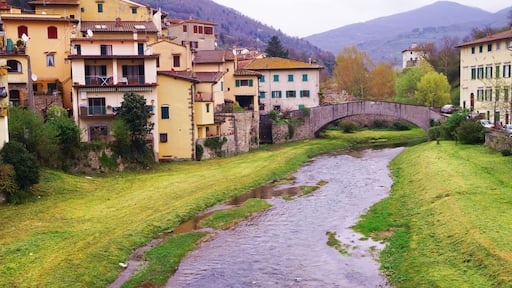 The torrent Comano in the village of Dicomano, Tuscany, Italy