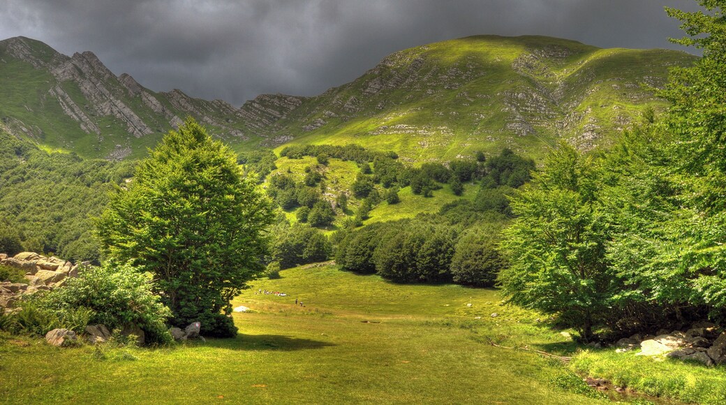 Sorgenti del Secchia - Collagna, Reggio Emilia, Italia