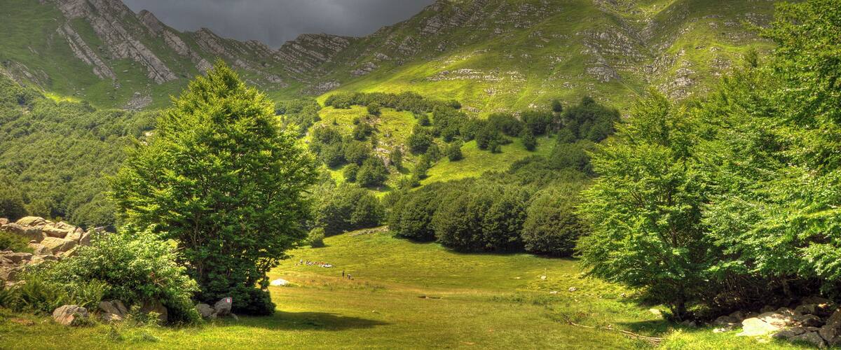 Sorgenti del Secchia - Collagna, Reggio Emilia, Italia