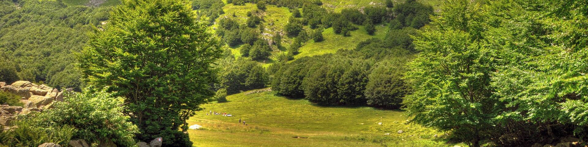 Sorgenti del Secchia - Collagna, Reggio Emilia, Italia