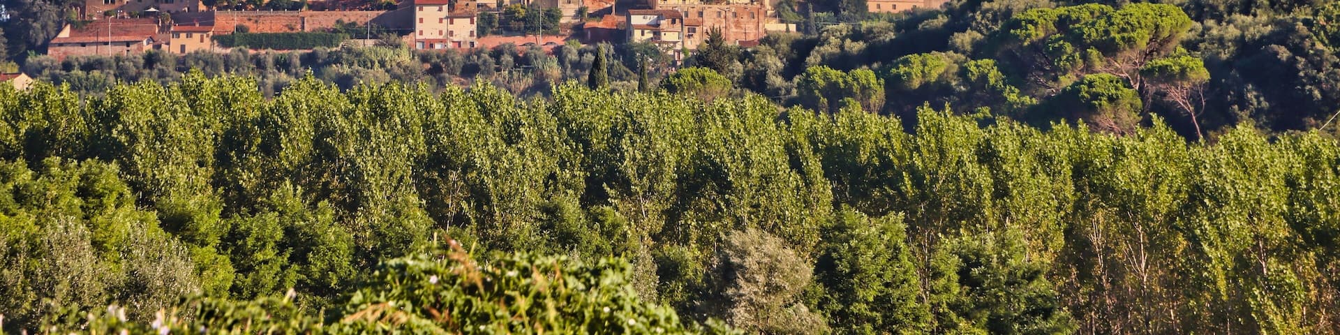 Capannoli (Livorno), Italy