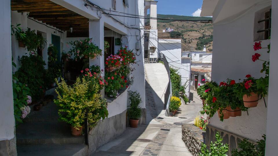 A narrow street with white buildings, potted plants, and a hillside in the background.
