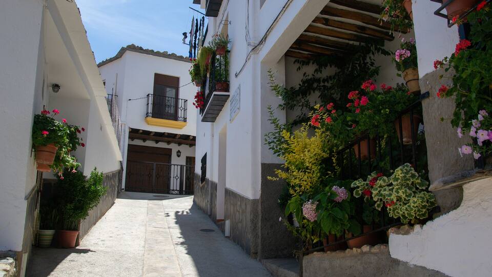 A narrow street with white buildings, potted plants, and flowers.