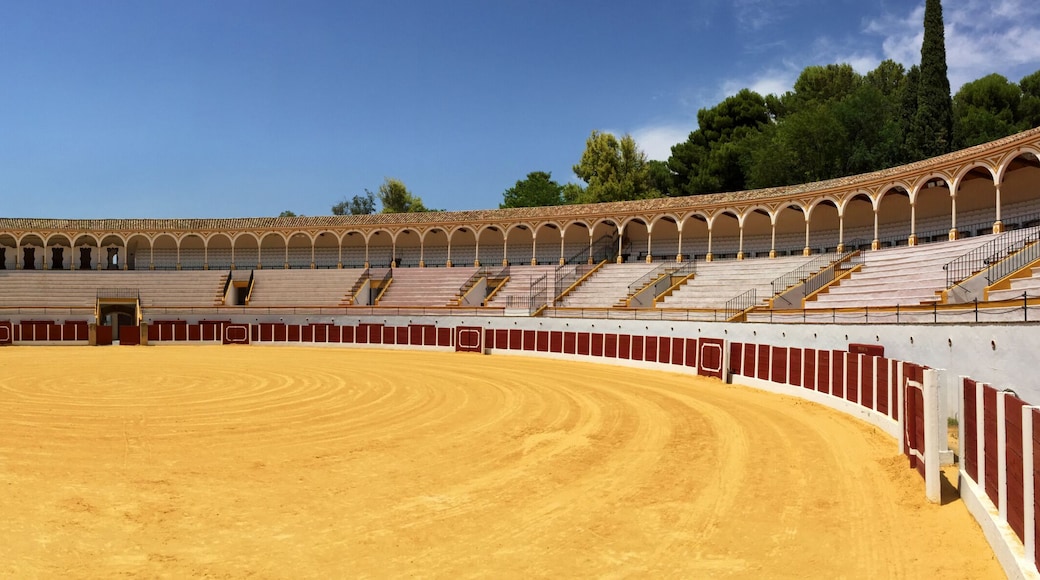 bullring arena in Antequera