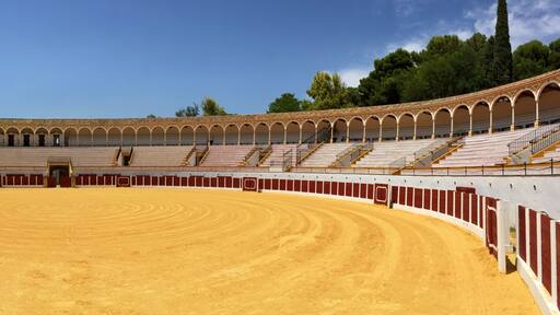 Arenas