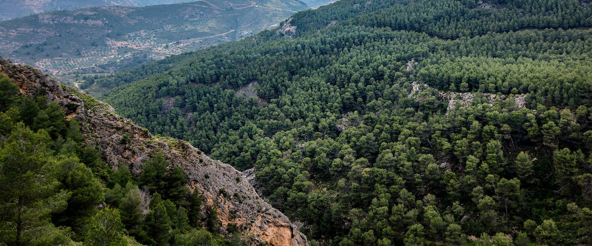 A mountainous landscape with dense forests and a winding valley.