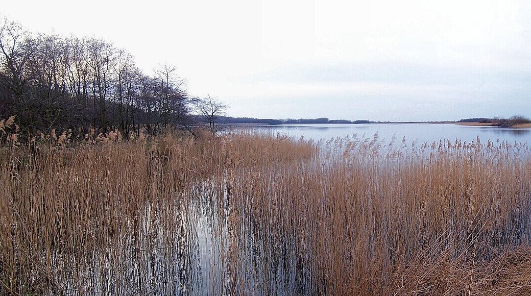 Conventer See vom Westufer,