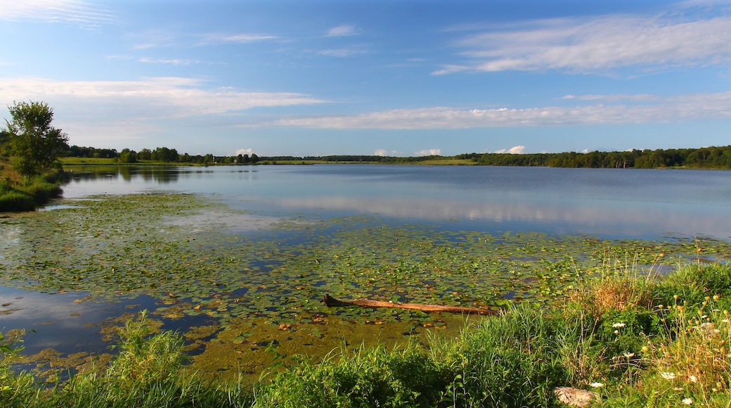 Shabbona Lake Landscape in Illinois