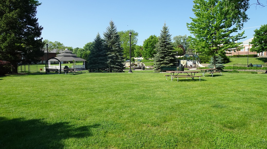 Grayslake