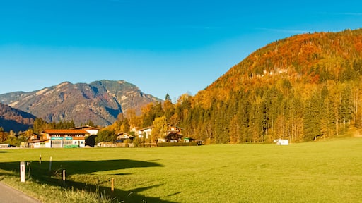 Alpine autumn or indian summer view near Erpfendorf, Kirchdorf in Tirol, Kitzbuehel, Tyrol, Austria