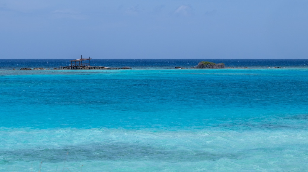 Blue waters Savaneta Lagoon Aruba