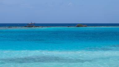 Blue waters Savaneta Lagoon Aruba