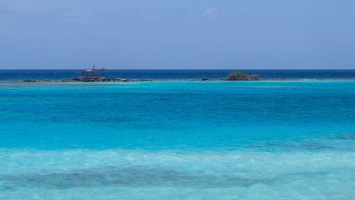 Blue waters Savaneta Lagoon Aruba