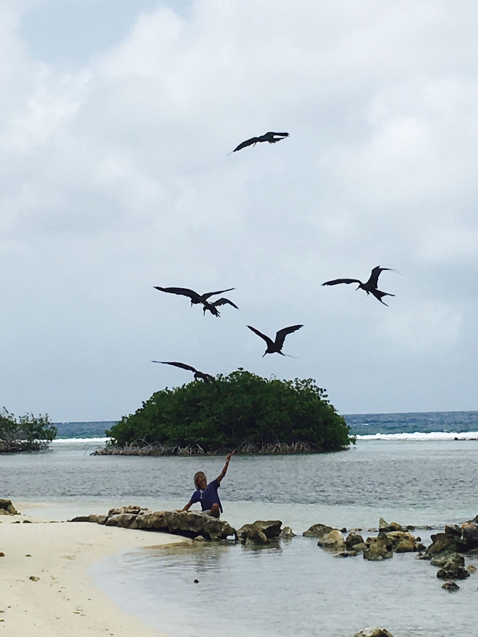 Located at Mangel Halto on the Island of Aruba. Awesome shot of the fisherman and birds ready to have a piece of fish he had catched that day🎣