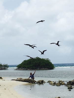 Located at Mangel Halto on the Island of Aruba. Awesome shot of the fisherman and birds ready to have a piece of fish he had catched that day🎣