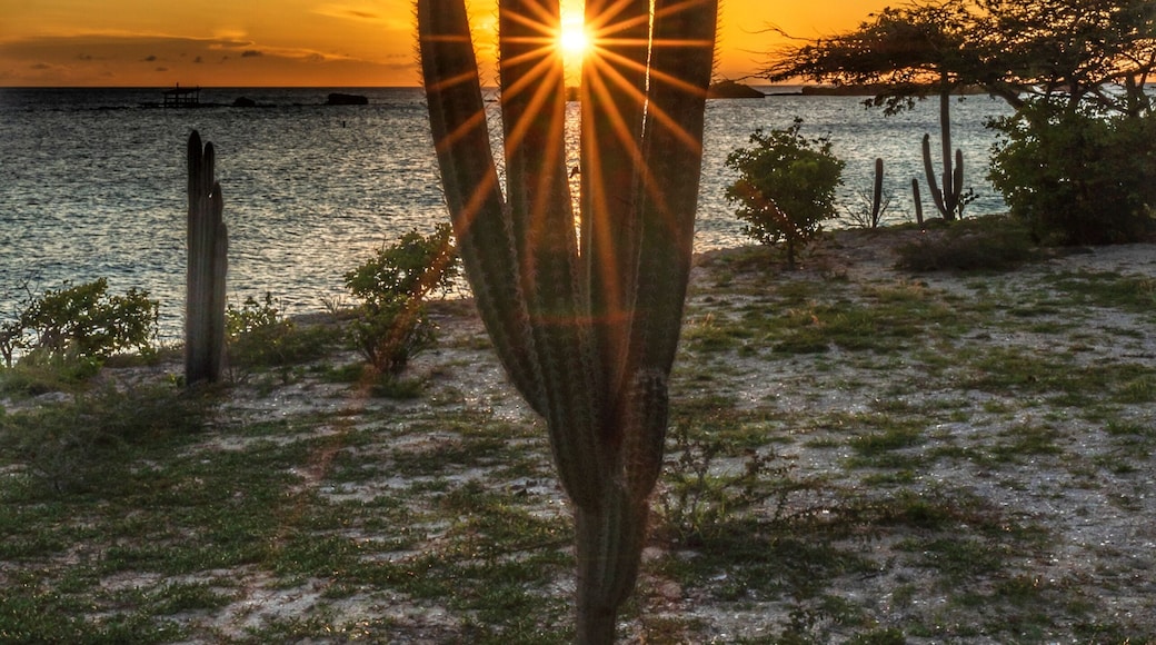 Wonderful place to see the sunset with very little crowds