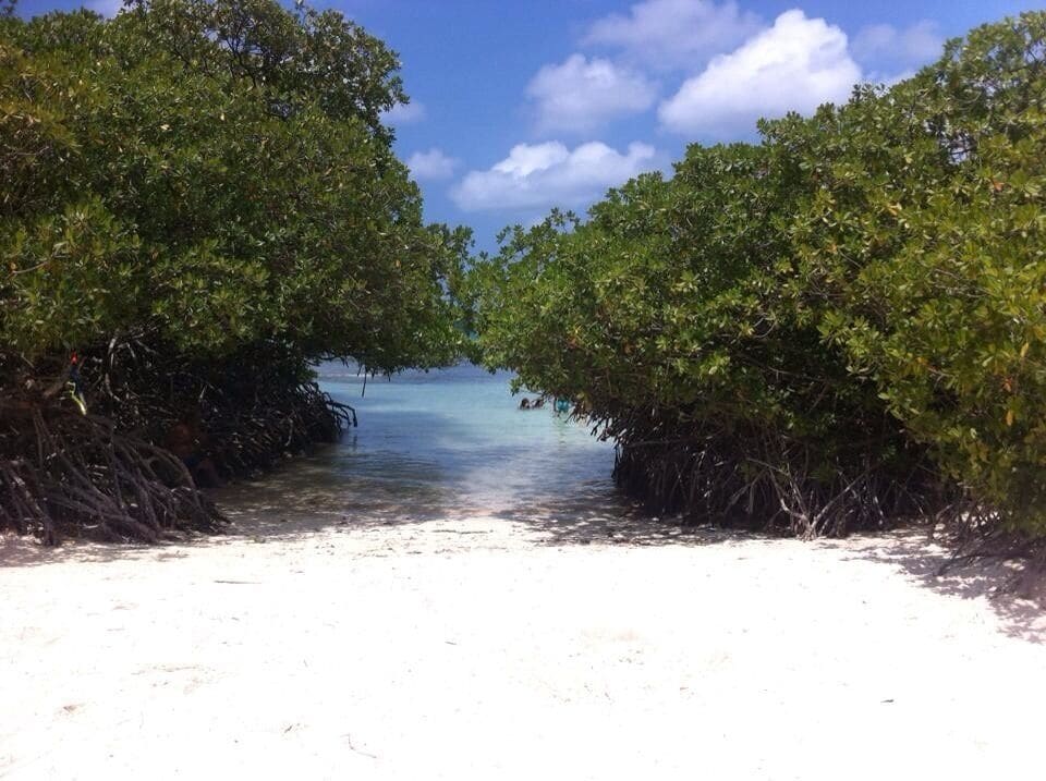 One of the smal beaches of Aruba! Beautiful to snorkel! 
