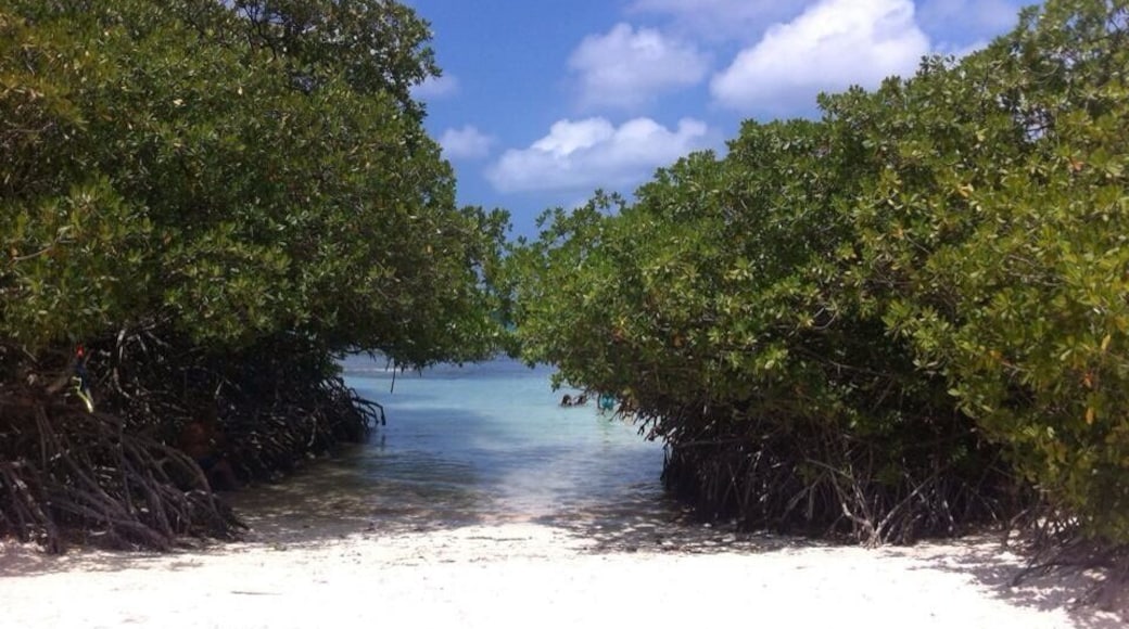 One of the smal beaches of Aruba! Beautiful to snorkel!