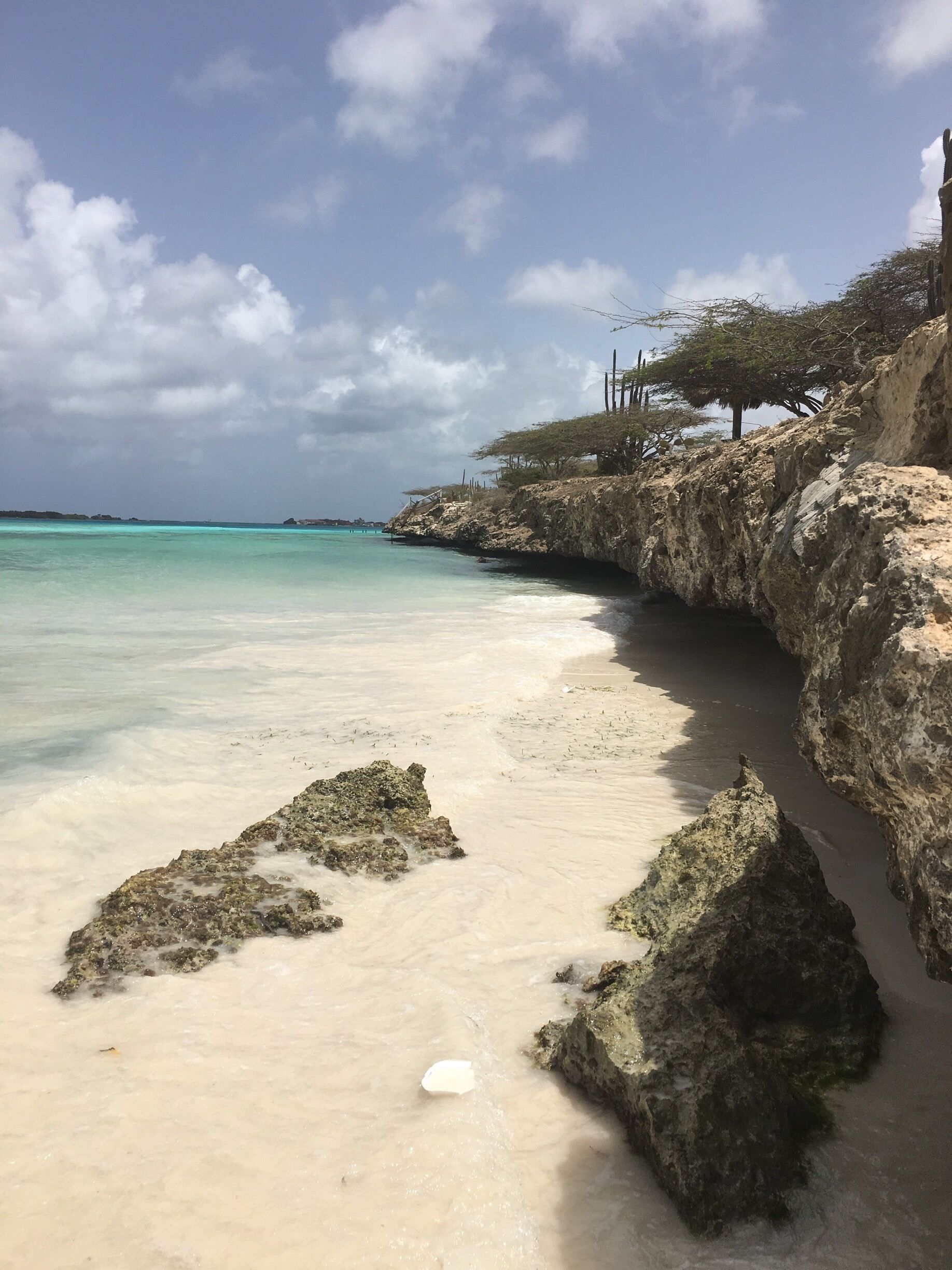 Beautiful pristine beaches on the northern part of the Island of Aruba.🏖🌴🌵
