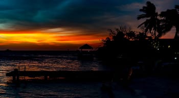 Great restaurant in Aruba the food is as good as the view. Go early so you can catch the sunset.
Vinramundo.smugmug.com