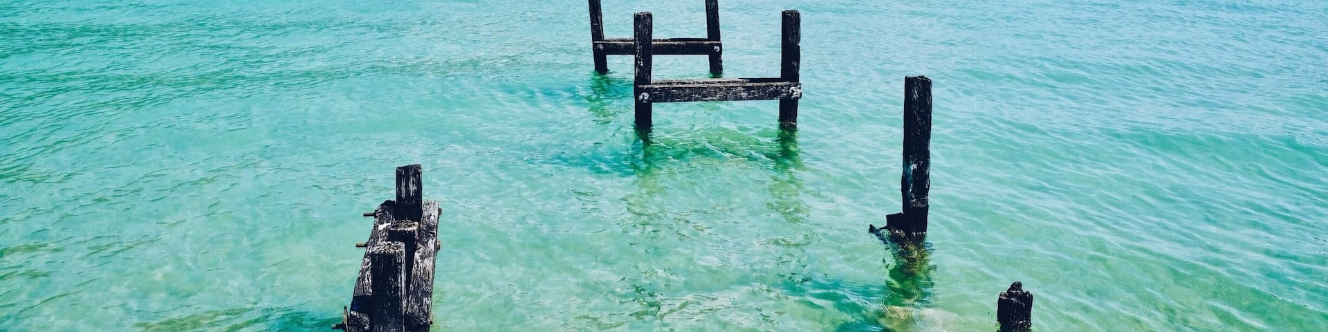 Annecy May 2017. It quite not perfect time to catch the colorful flowers