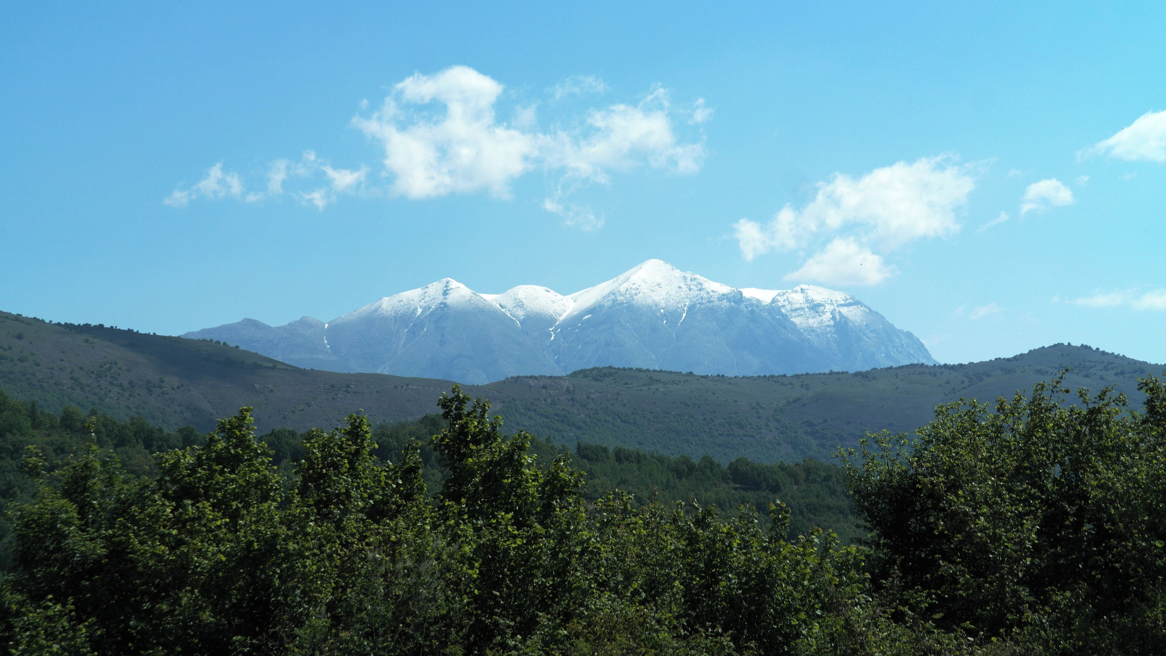 A snow-capped mountain range with lush green forests in the foreground.