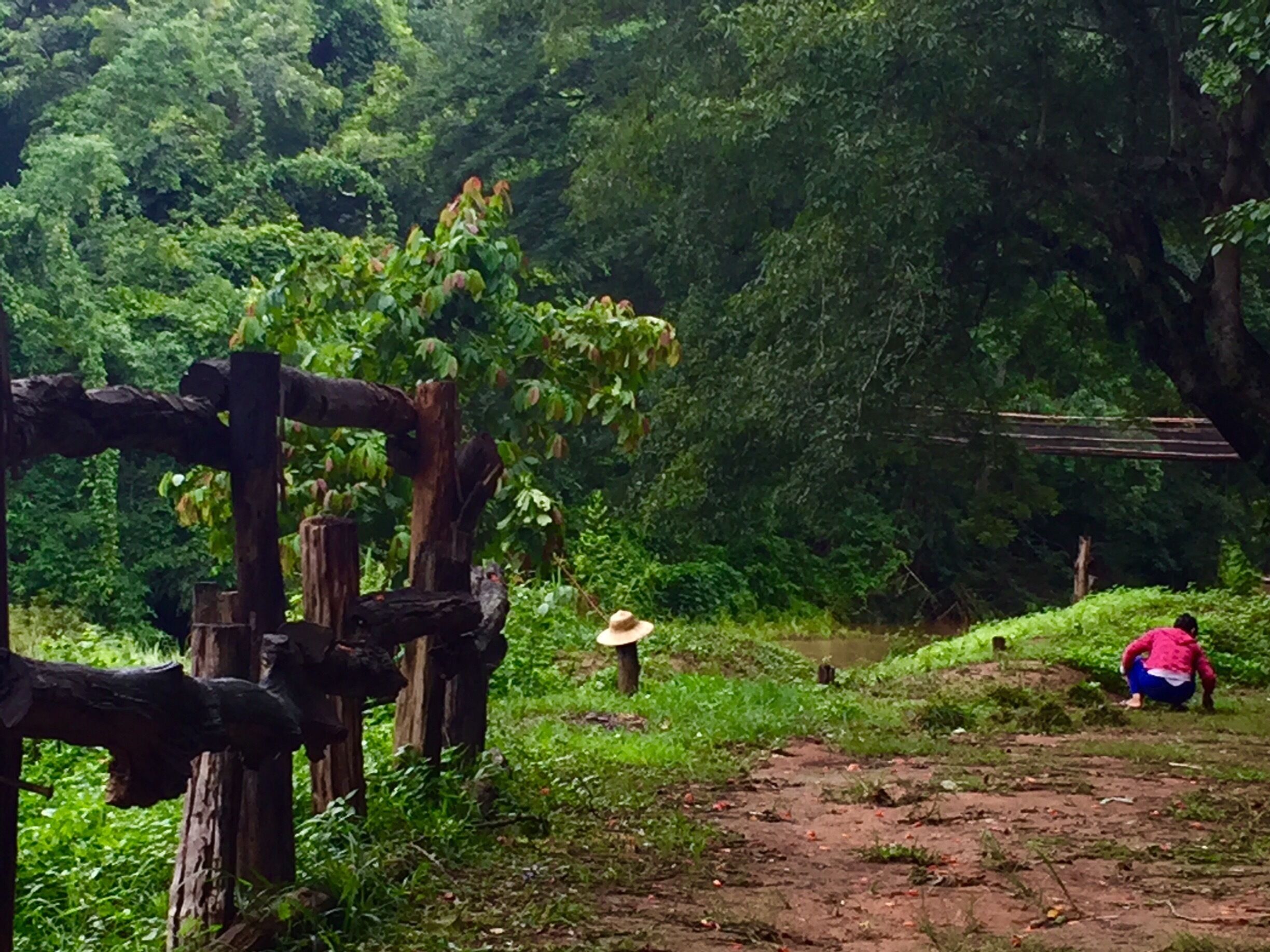 A forested area with a dirt path, a wooden fence, and a person in a pink jacket.