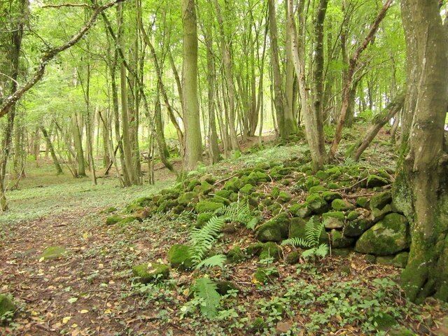 Woodland above the Sauer