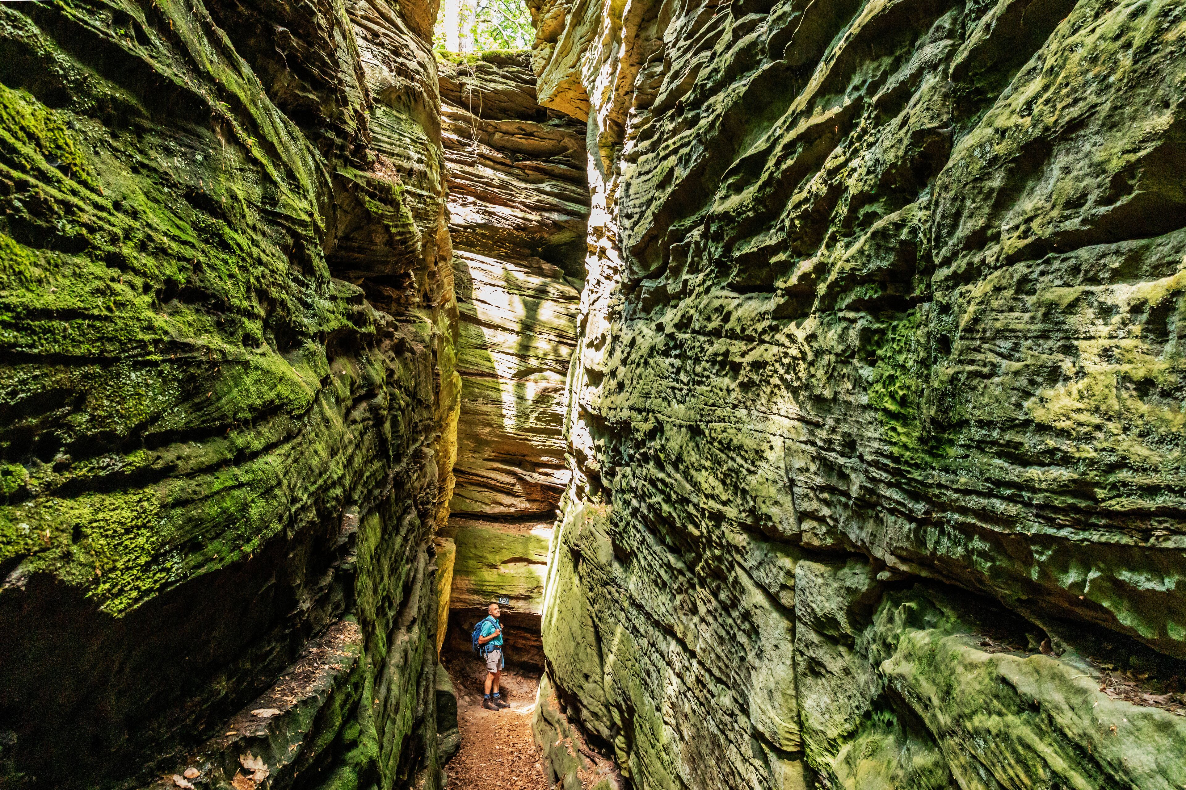 Senior man walking at Eifel National Park, Bollendorf, The Eifel, Rhineland-Palatinate, Germany
