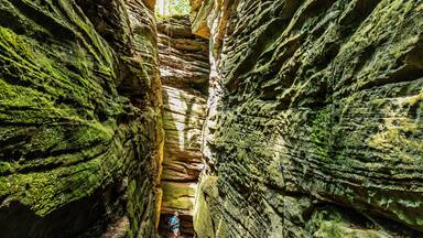 Senior man walking at Eifel National Park, Bollendorf, The Eifel, Rhineland-Palatinate, Germany
