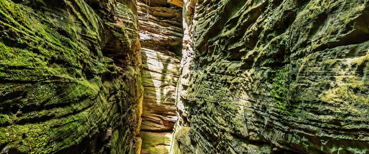 A narrow canyon with moss-covered rock walls and a person standing in the center.