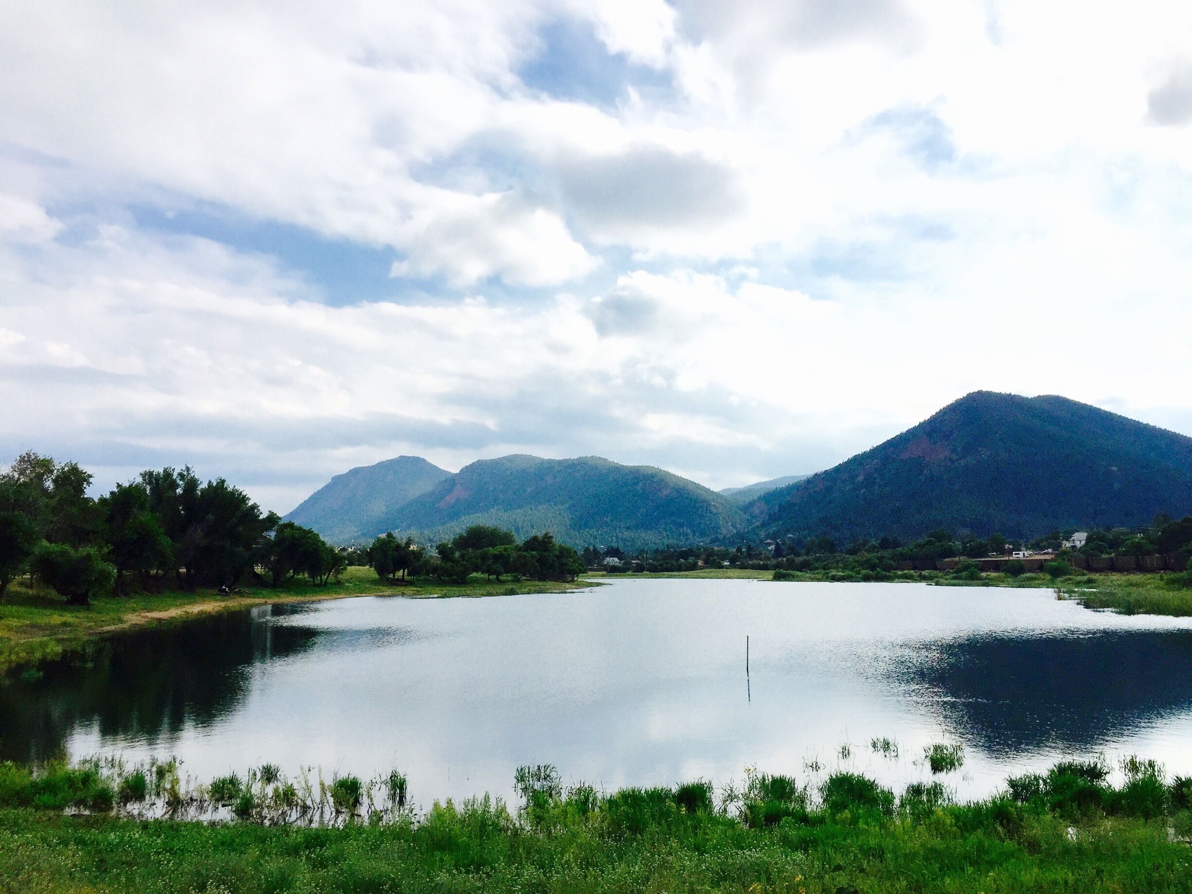 Discovered this stunning beauty in the old suburb town of Palmer Lake, CO
